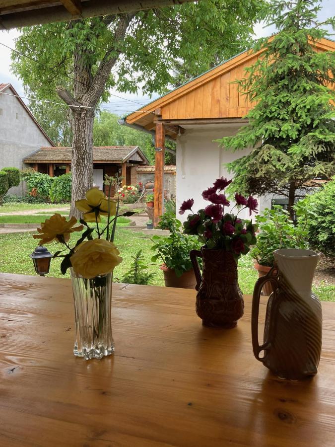 Nantucket Guesthouse Vrbas ภายนอก รูปภาพ
